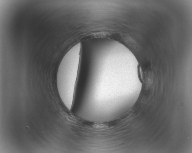 X0000071760619200606300917