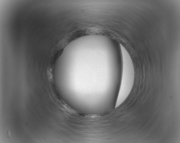 X0000071760621200606300917