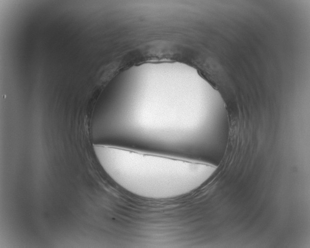 X0000071760623200606300917