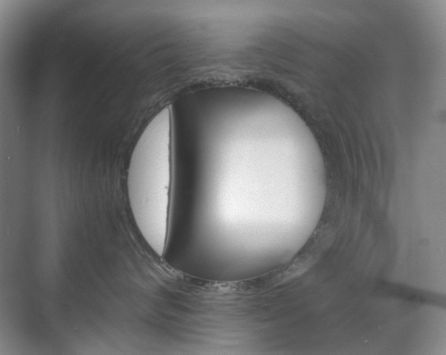 X0000071760624200606300917