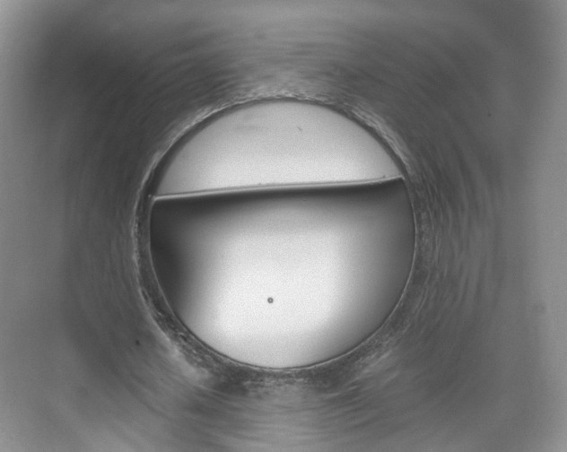 X0000071760626200606300917