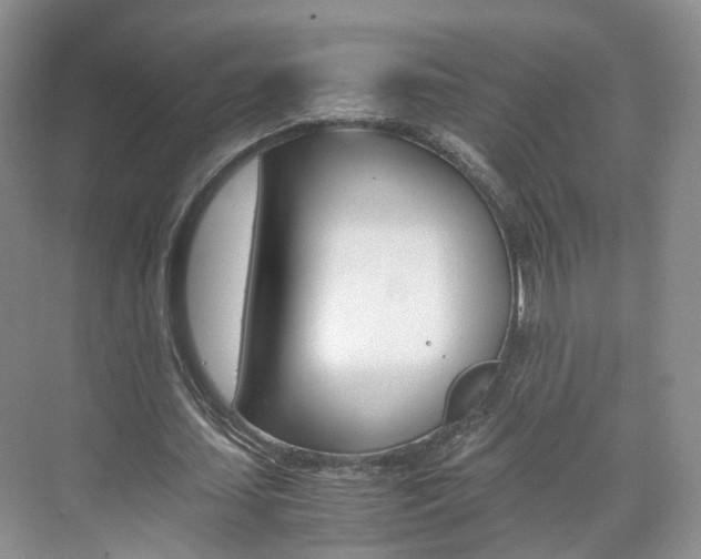 X0000071760627200606300917