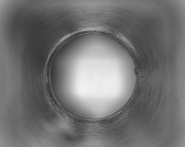 X0000071760628200606300917