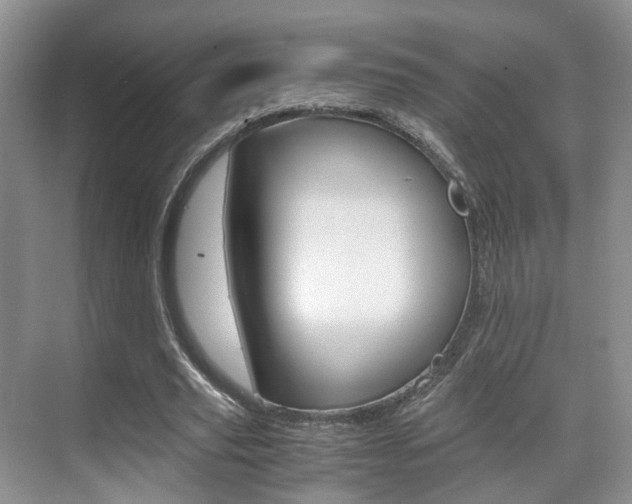 X0000071760629200606300917