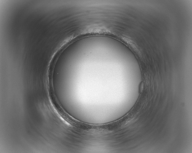 X0000071760630200606300917