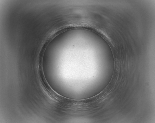 X0000071760631200606300917