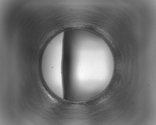 X0000071760633200606300917