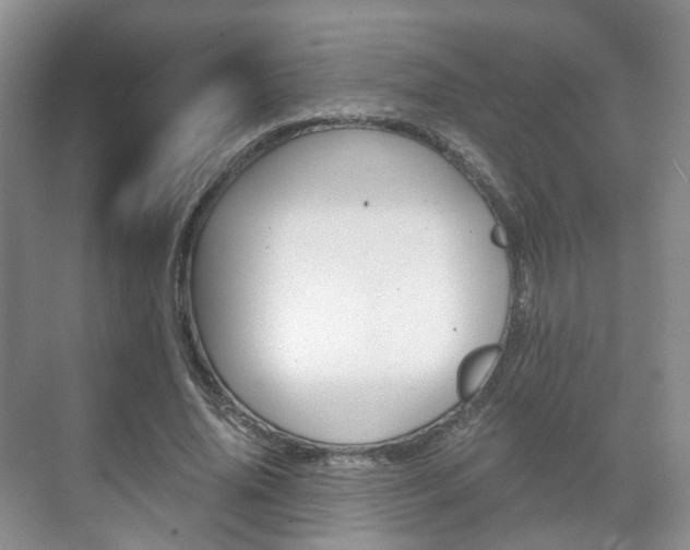 X0000071760636200606300917