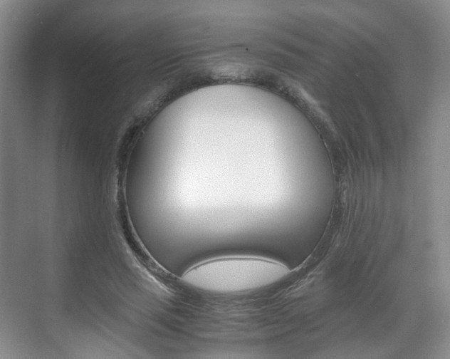 X0000071760637200606300917