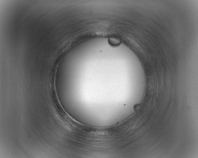 X0000071760639200606300917