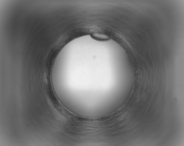 X0000071760643200606300917