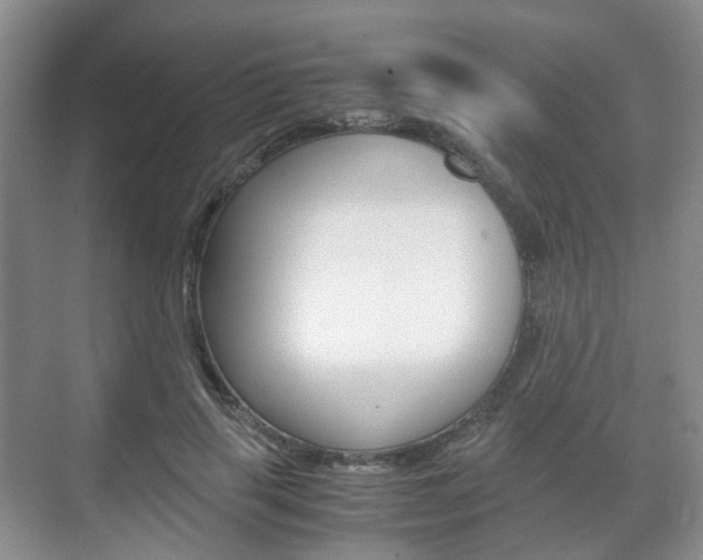 X0000071760645200606300917