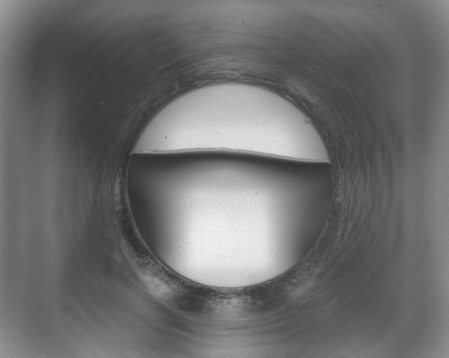 X0000071760646200606300917