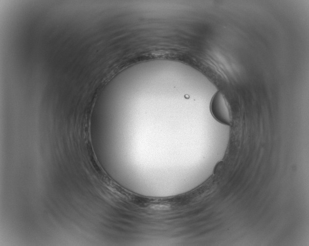 X0000071760653200606300917