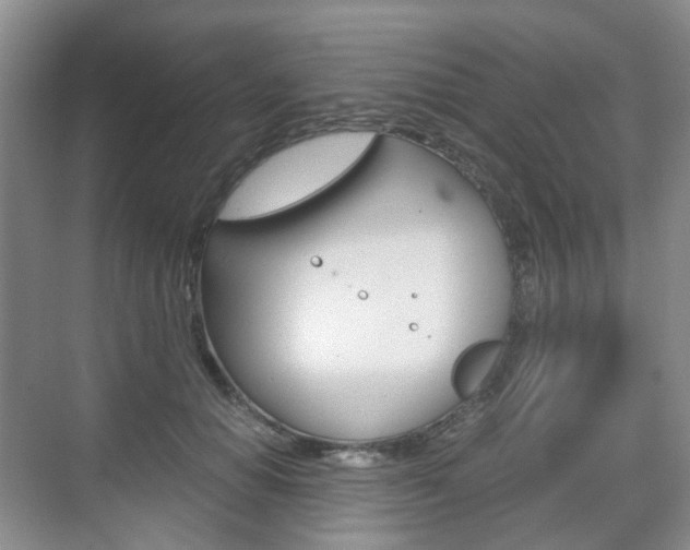 X0000071760654200606300917