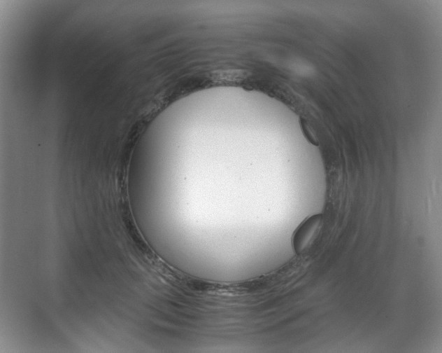 X0000071760655200606300917