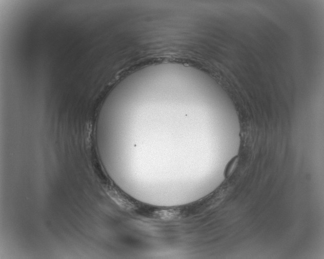 X0000071760660200606300917