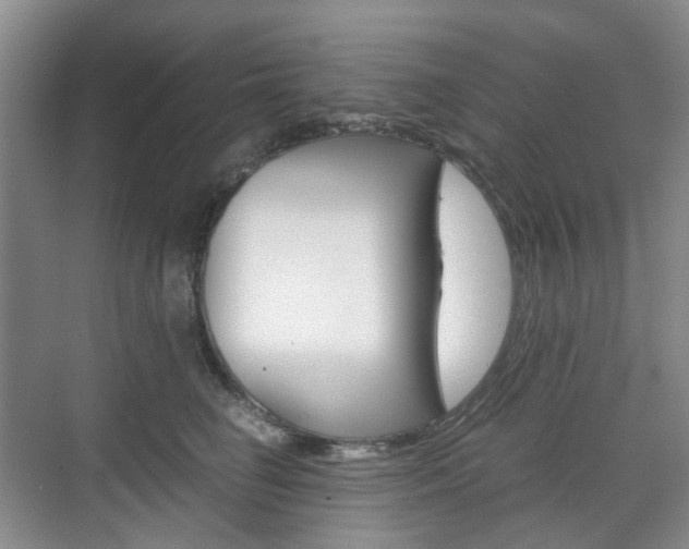 X0000071760662200606300917