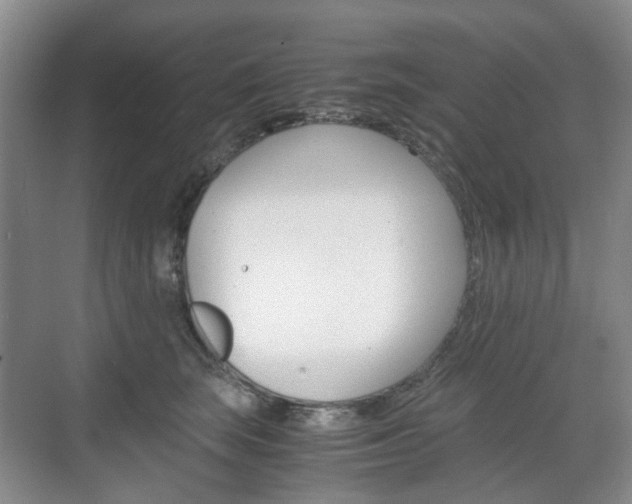 X0000071760663200606300917