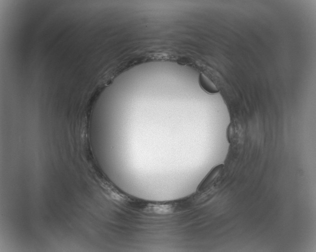 X0000071760665200606300917