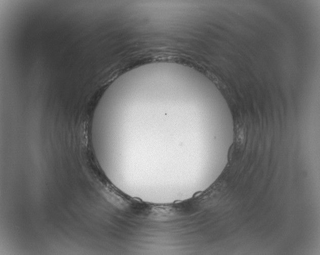 X0000071760666200606300917