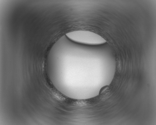 X0000071760668200606300917
