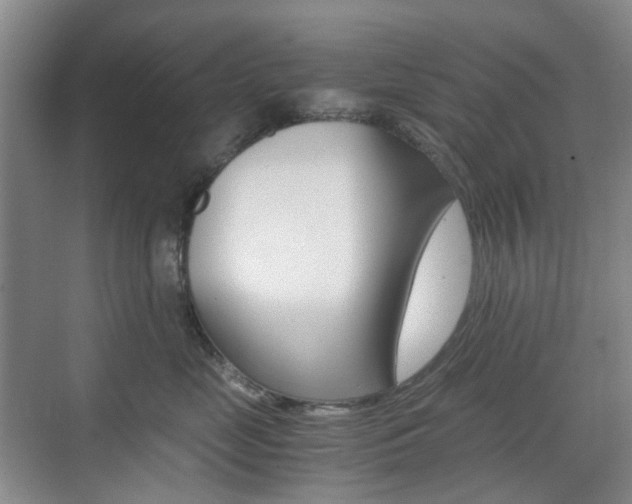 X0000071760669200606300917