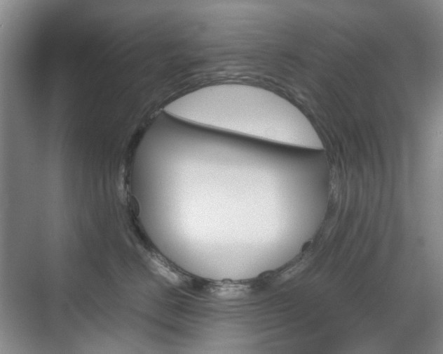 X0000071760670200606300917