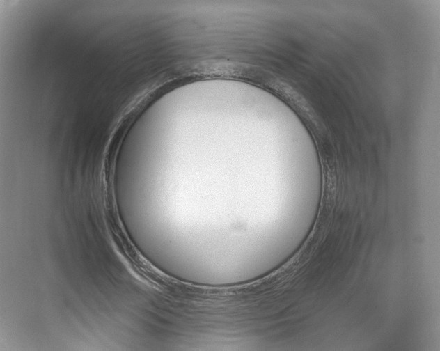 X0000071760674200606300916