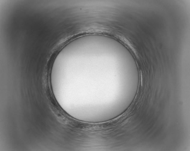 X0000071760675200606300916