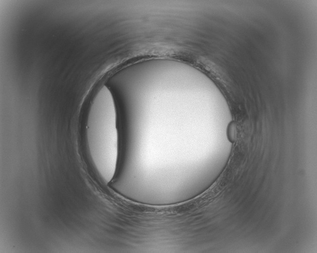 X0000071760679200606300916