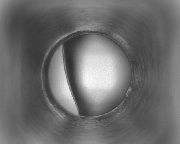 X0000071760680200606300916