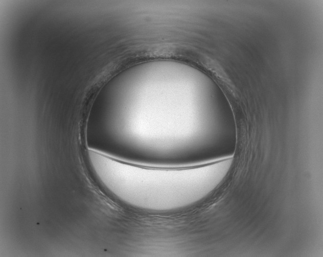 X0000071760681200606300916