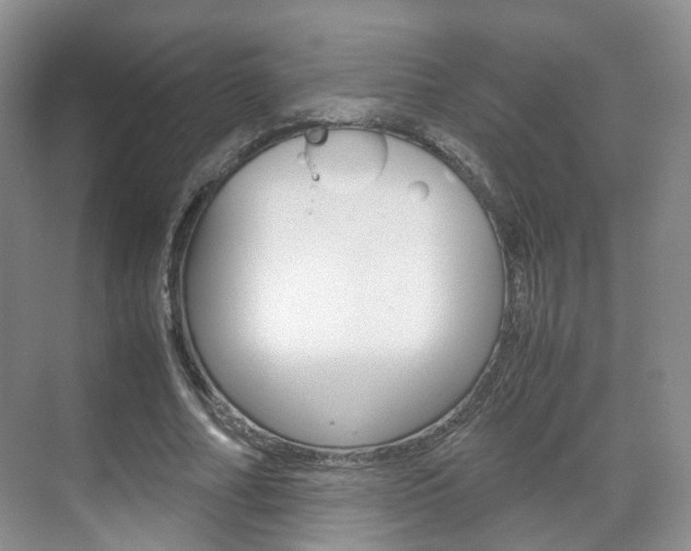 X0000071760682200606300916