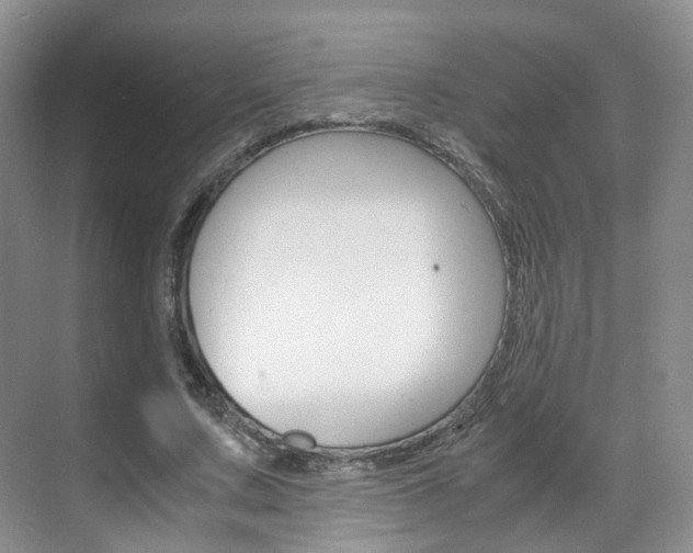 X0000071760683200606300916