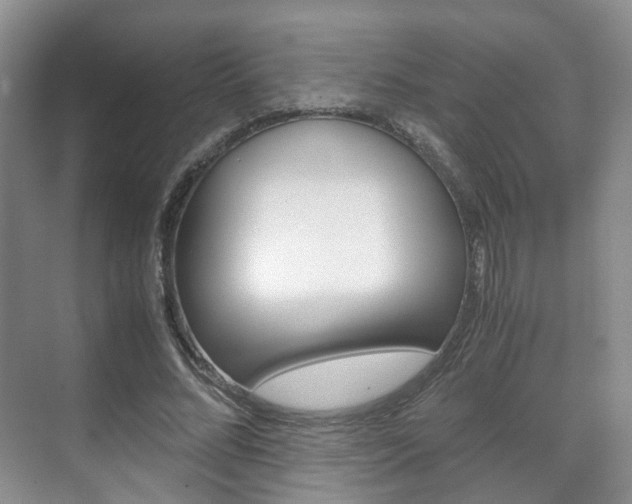 X0000071760684200606300916