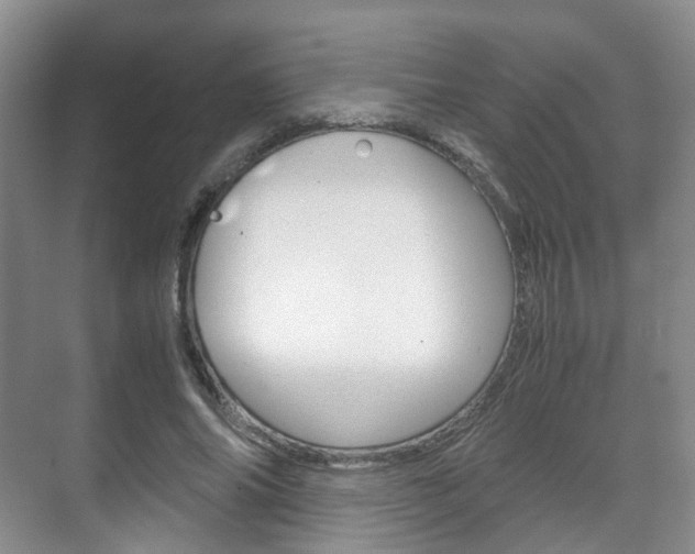 X0000071760686200606300916