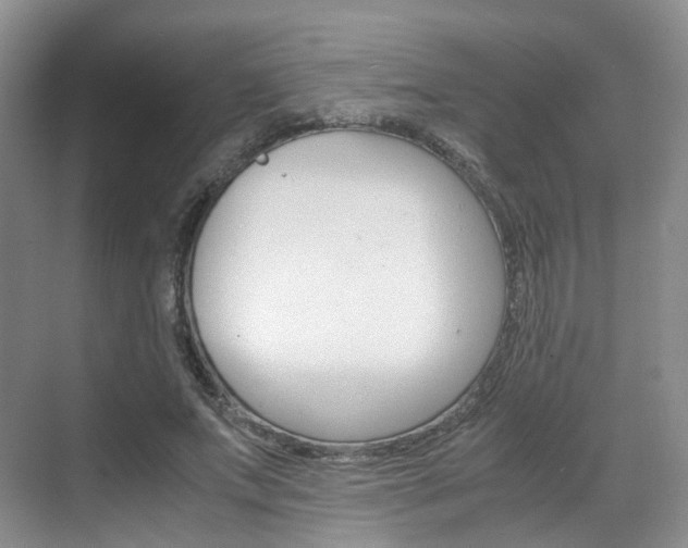 X0000071760687200606300916