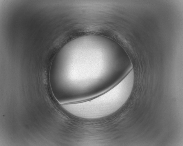 X0000071760689200606300916