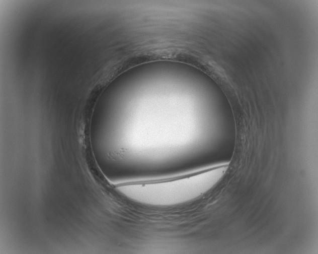 X0000071760693200606300916
