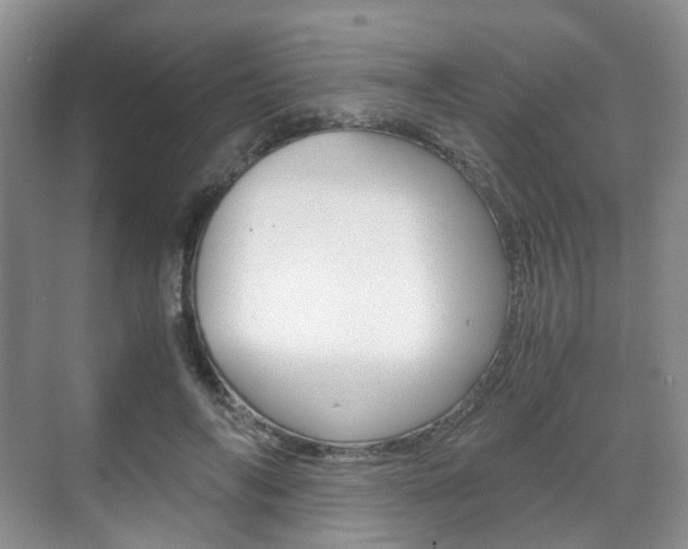 X0000071760694200606300916