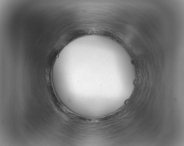 X0000071760695200606300916