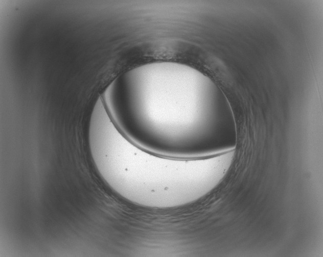 X0000071760697200606300916