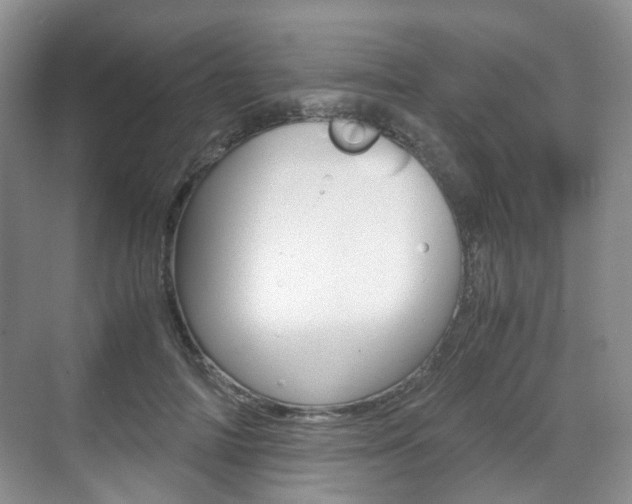 X0000071760698200606300916