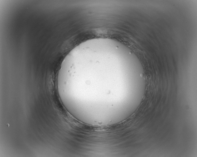 X0000071760702200606300916