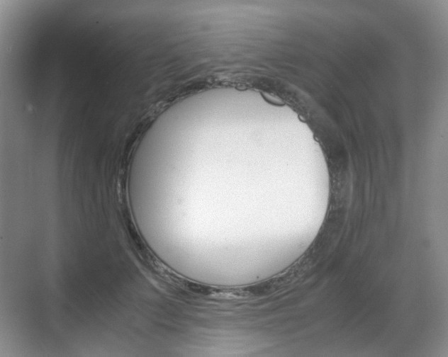 X0000071760703200606300916