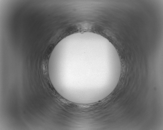 X0000071760709200606300916