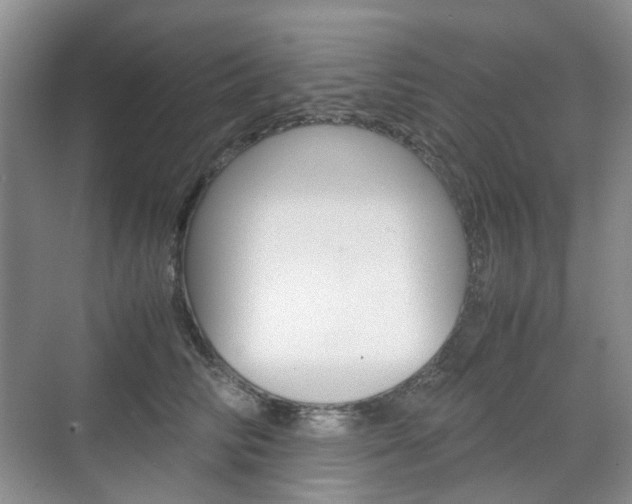 X0000071760710200606300916