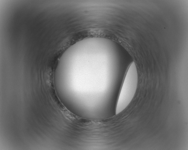 X0000071760712200606300916