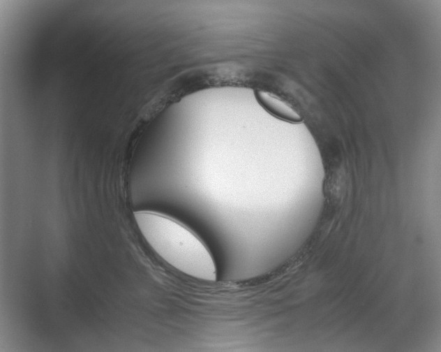 X0000071760715200606300916
